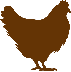 Hønseracer