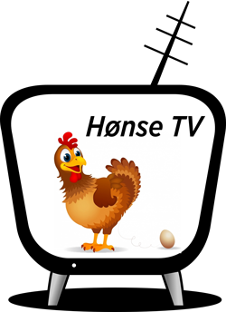 Hønse TV
