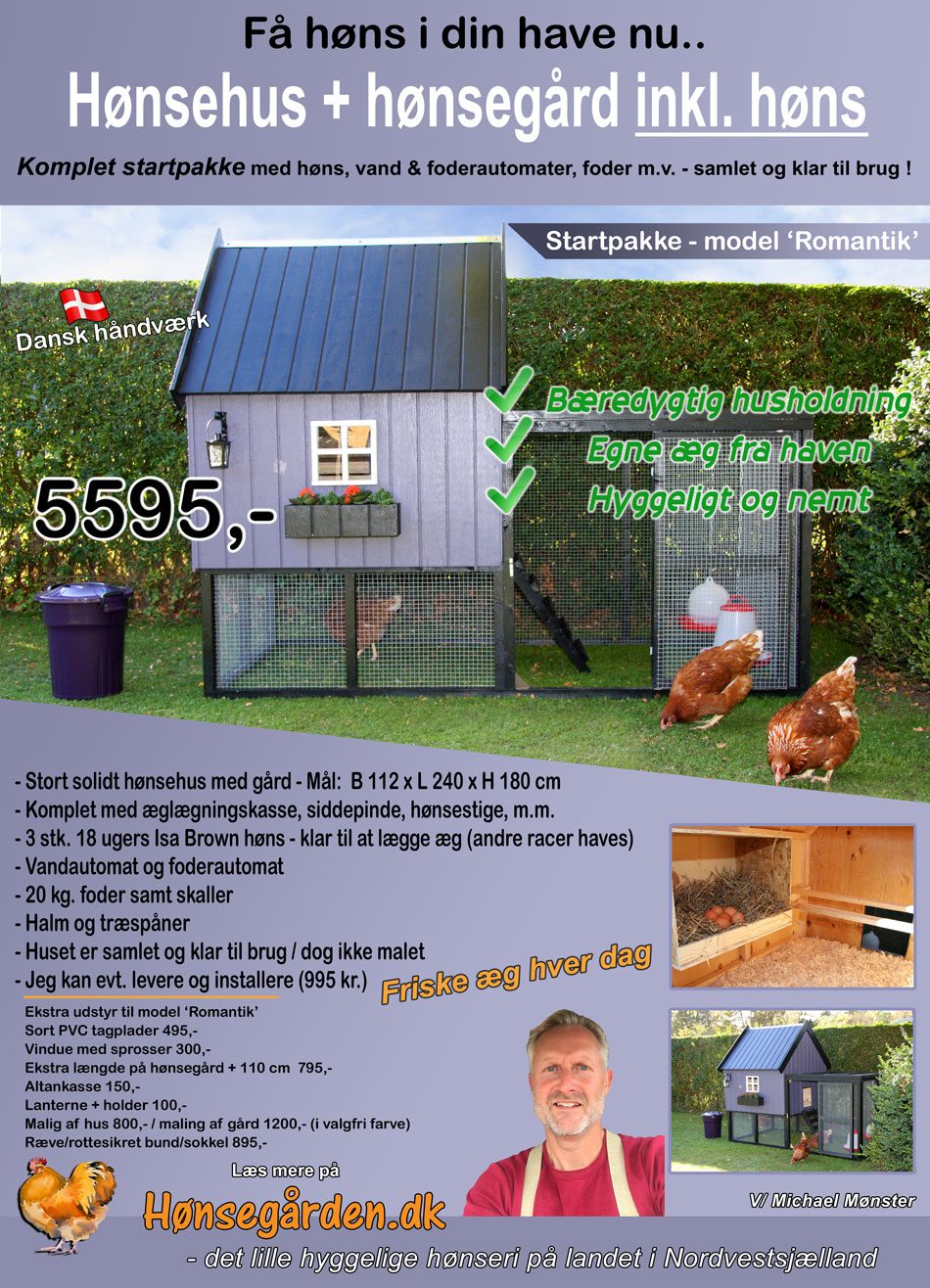 Hønsehus Romantik 2019 Startpakke med høns